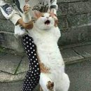 이마켓 이미지