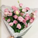 한스앤메이 이미지