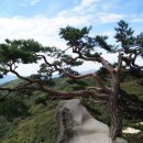 ［공지］제19차 정기산행 소나무가 아름다운 춘천 용화산 (877m) 이미지