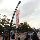 온곡문구 | 나노단위로 앓는 샤이니월드5 중콘 후기(부제:선녀와 나무콘)