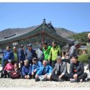 정곡초등학교 이미지