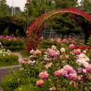 배산공원 이미지