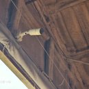 보선농장 이미지