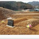 효림묘원 이미지