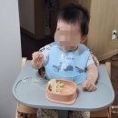 [육아일기] 300~350일까지의 기록 및 느낀점 (feat. 돌사진, 돌잔치)