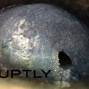 강가농장 이미지