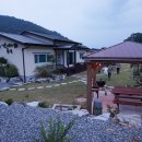 소나무풍경펜션 이미지