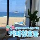 청호동 해변 | 강원도 속초 조용한 오션뷰 루프탑 카페 [카페청호동] 내돈내산 후기