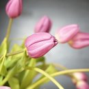 하얀 이미지