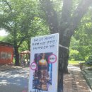 마이산 카페 토박이 이미지