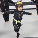 Y체대입시태권도 | 관악구 태권도학원 입시전문: 태권도학과, 체대입시, 경찰공무원 준비는 금강태권도!