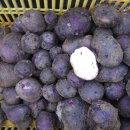 경록농장 이미지