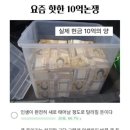 현금 10억으로 인생 바꿀 수 있다 vs 없다. 이미지