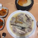 풍산마을 | (일산 풍산역 맛집)다람쥐마을누룽지백숙 가족 보양식...백숙, 직화쭈꾸미볶음, 묵무침 내돈내산 후기