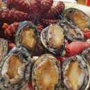 백패커스인여수호스텔 이미지