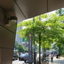 신반포역 1번출구 앞 이미지