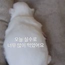 모두랑