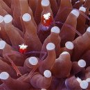 바다생각 이미지