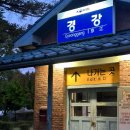 강촌레일바이크 | [강촌 시리즈 3탄] 강촌 레일바이크 후기 🚴‍♀️ 펫바이크로 반려견과 즐기는 북한강 여행