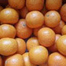 케이비농장 이미지