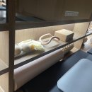 버핏그라운드 역삼 | [역삼/강남] 역삼역 헬스장 버핏그라운드 GFC점 두달 다닌 후기..내돈내산! 장단점!