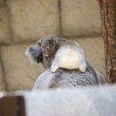 세븐일레븐 울산교동원룸점 | 잔말말고 에어컨 파워냉방으로 틀어