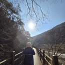 월류봉 둘레길 우매리 화장실 | 충북 영동 가볼만한곳 월류봉 둘레길 1코스 여울소리길