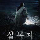 (주)세다온라인 | 살목지 영화·저수지 총정리 — 출연진·위치·유래·심야괴담회·관람평까지