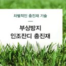 신둔 체육공원 축구장 이미지