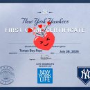 (주)메이저라인 | 양키 스타디움 뉴욕 양키스 직관 MLB 메이저리그 야구장 Yankee Stadium