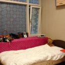 디아뜨 갤러리 3차 이미지