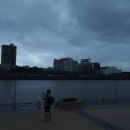 사우스 오아시스 이미지