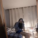 아디다스금촌