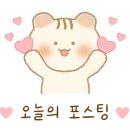 익산 고양이카페 아이캣유 이미지