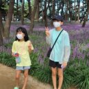 장미분식 이미지