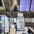 아가씨김밥 | 제주공항 근처 김만복 김밥 본점 방문 후기