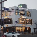 마고헤어 이미지