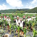 명동리경로당 이미지