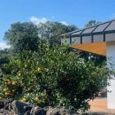 세화 동백그늘 이미지