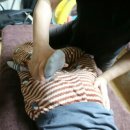 연수동 511-11 | 구월동 커피앤힐링 마사지 홈테라피 서비스 받았어요.