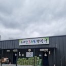 속리산365캠핑장