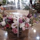 동정동103 이미지