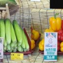 창녕아시아마트