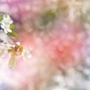 동의명가한의원 이미지