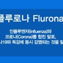 플루로나(Flurona) 이미지