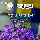 행복한 7월 보내세요 이미지