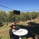 건지농장 이미지