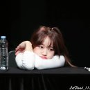 모찌댕