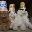 텔레마케팅관리사 필기 - 시장조사 이미지