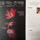 경이의세계 | 빛을 먹는 존재들 [ 과학 도서] 온몸으로 경험하고 세상에 파고드는 식물 지능의 경이로운 세계
